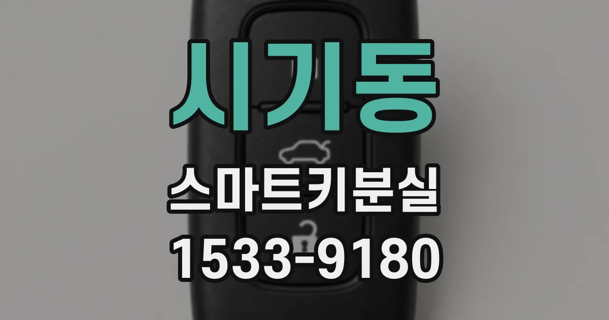 시기동 스마트키분실