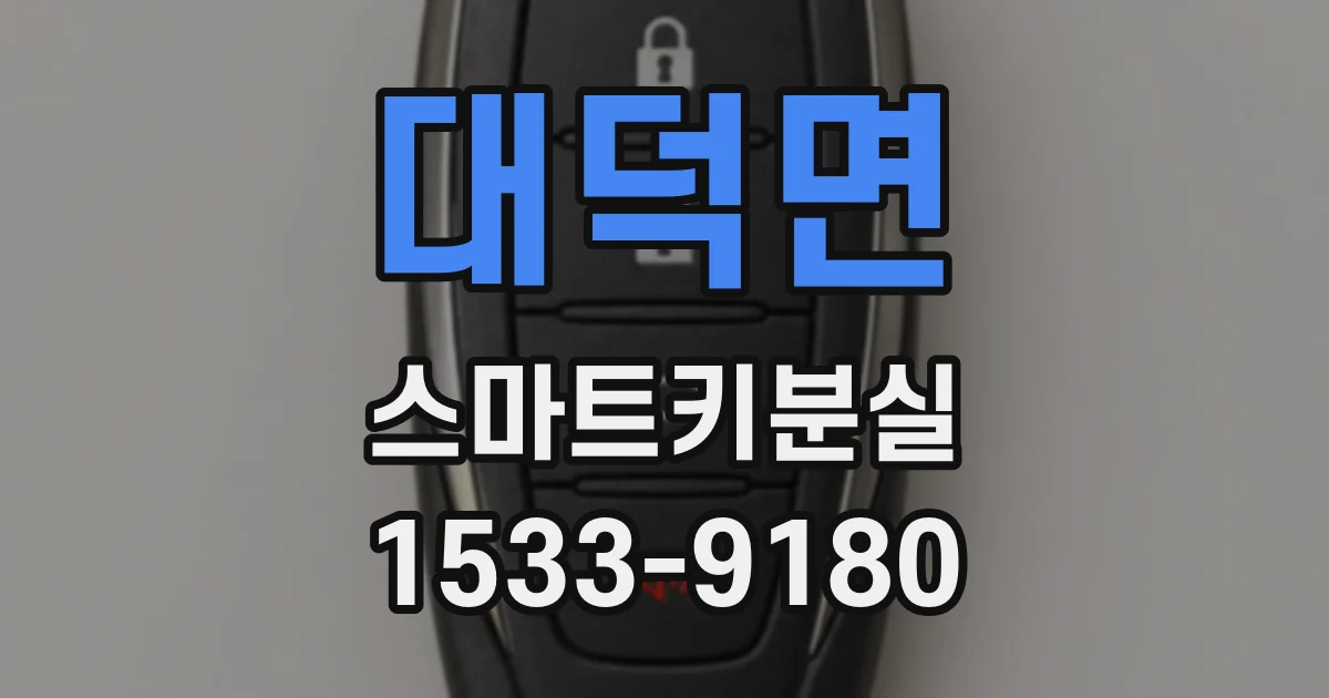 대덕면 스마트키분실