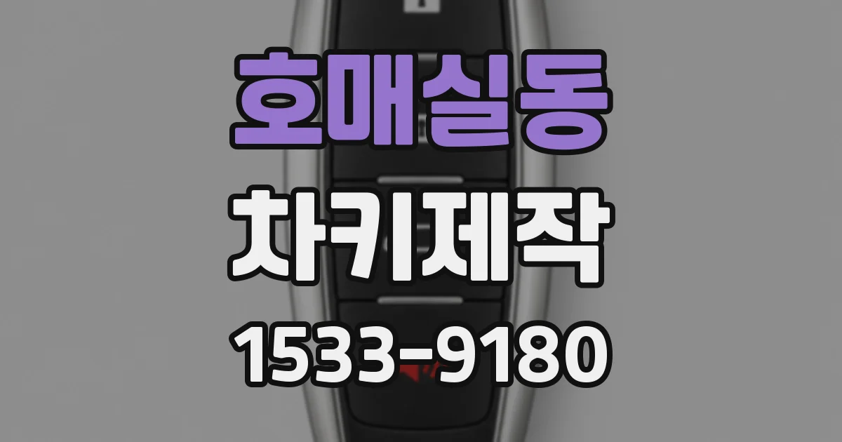 호매실동 차키제작