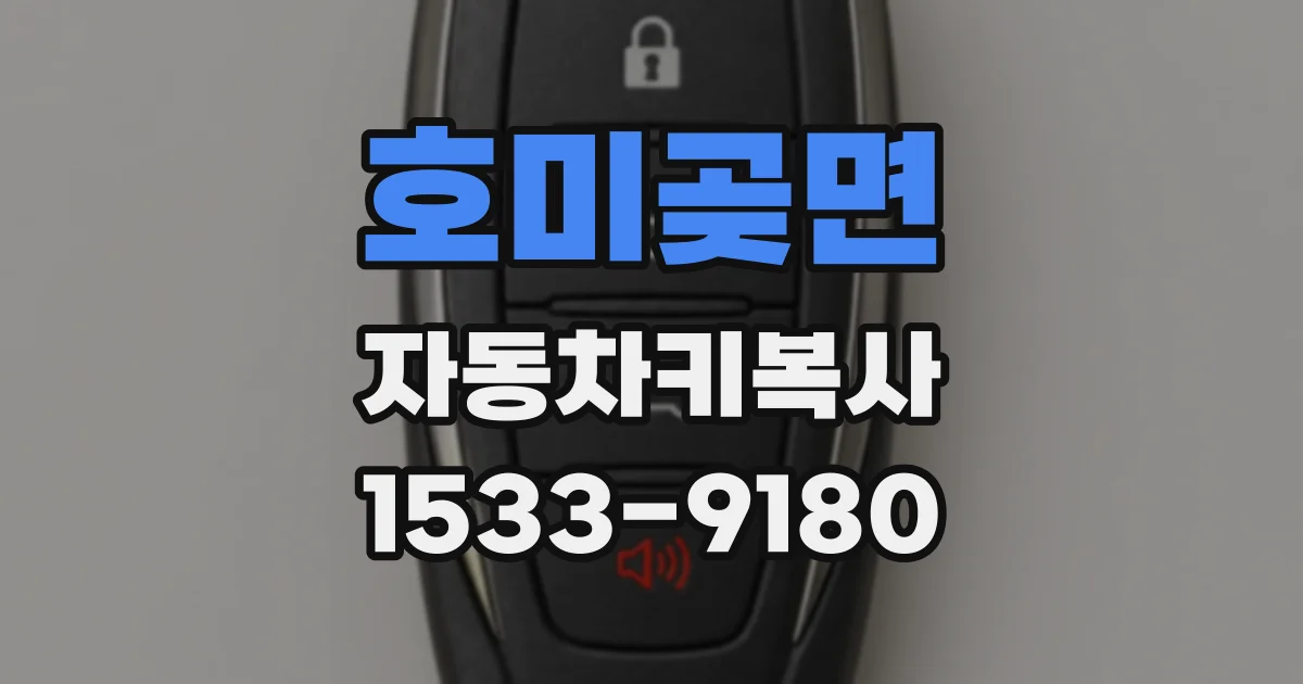 호미곶면 자동차키복사