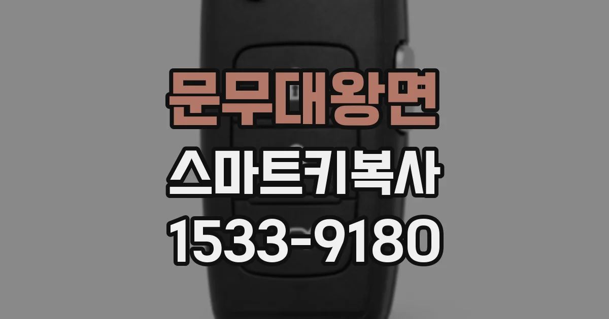 문무대왕면 스마트키복사