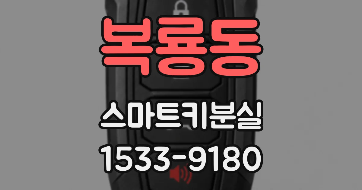 복룡동 스마트키분실