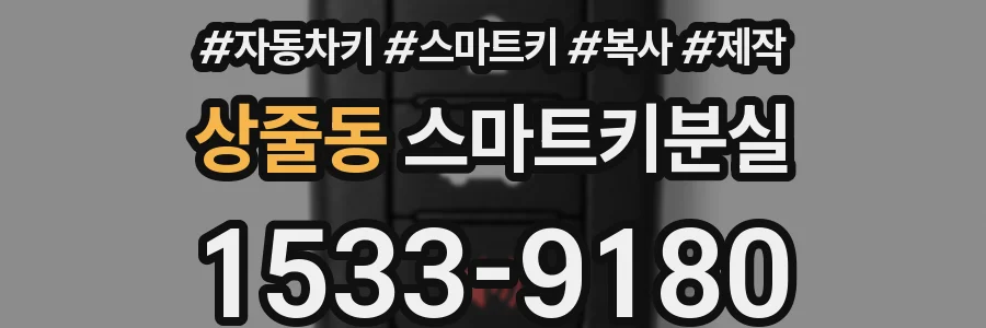 상줄동 스마트키분실