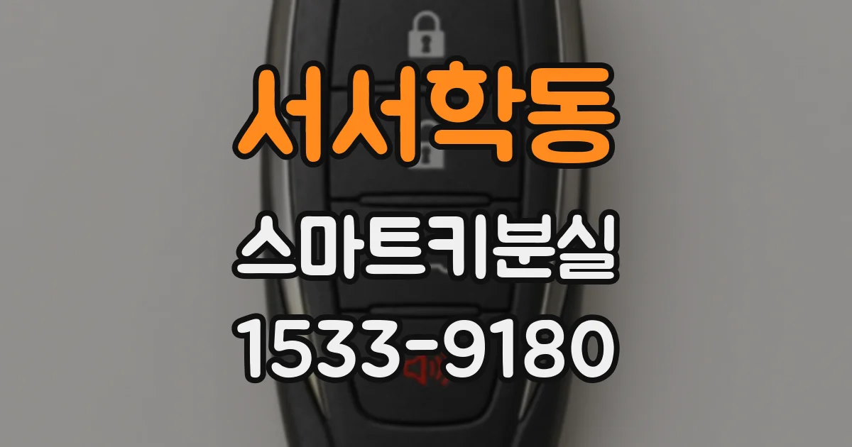 서서학동 스마트키분실