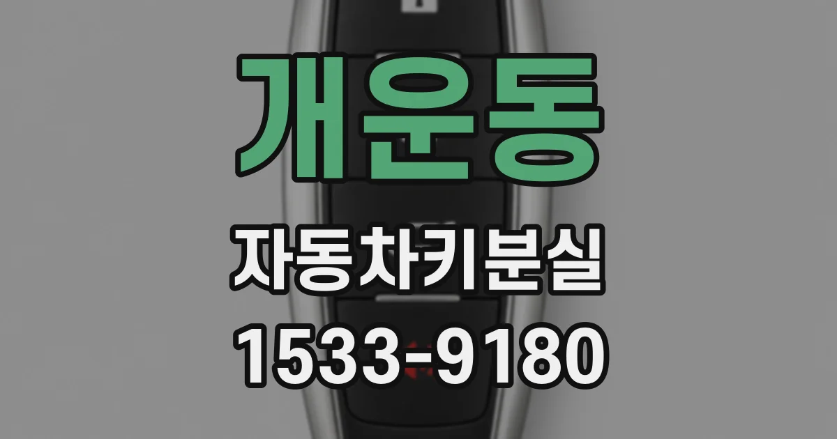 개운동 자동차키분실
