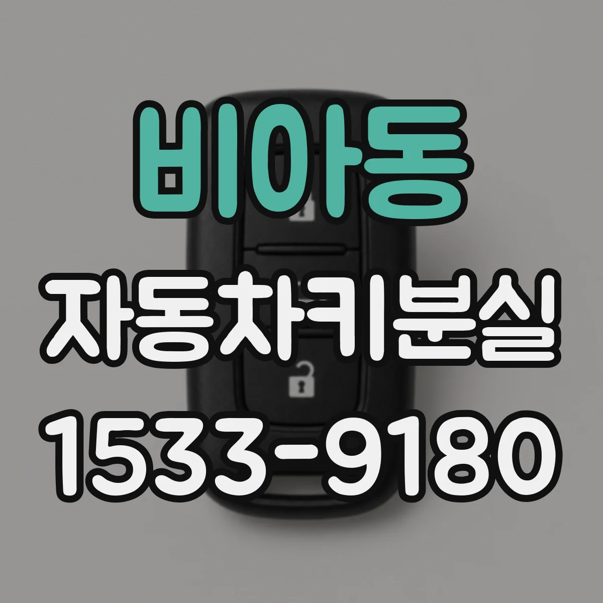 비아동 자동차키분실