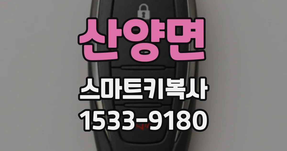 산양면 스마트키복사