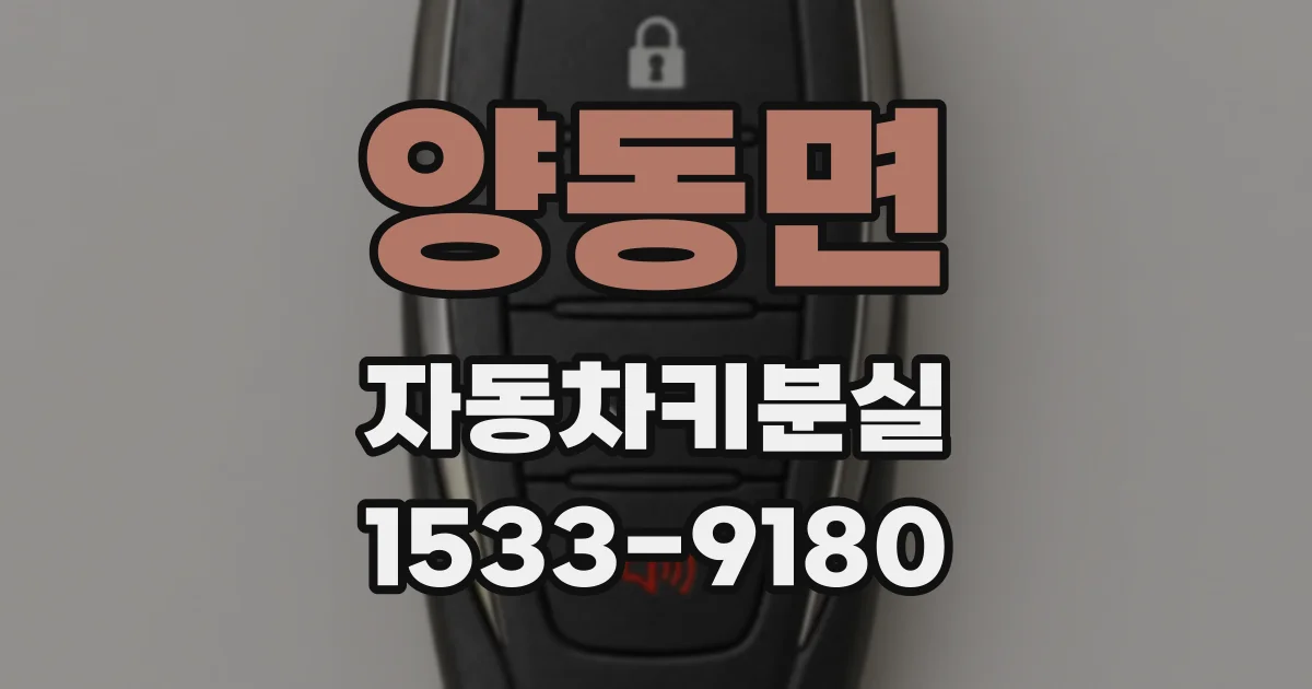 양동면 자동차키분실