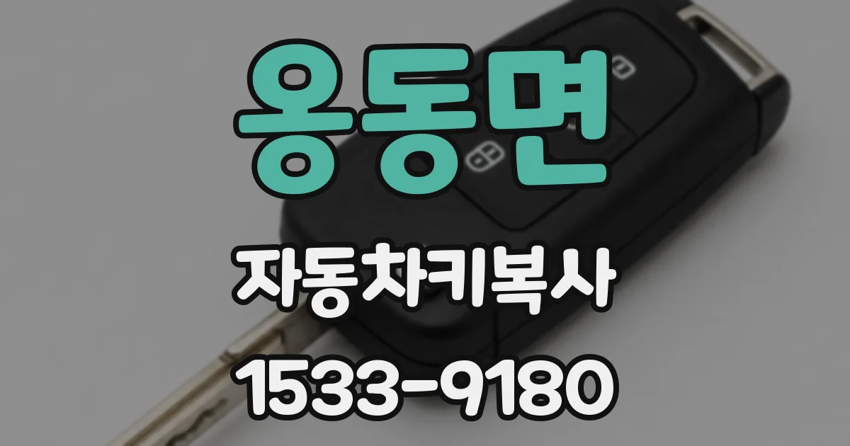 옹동면 자동차키복사