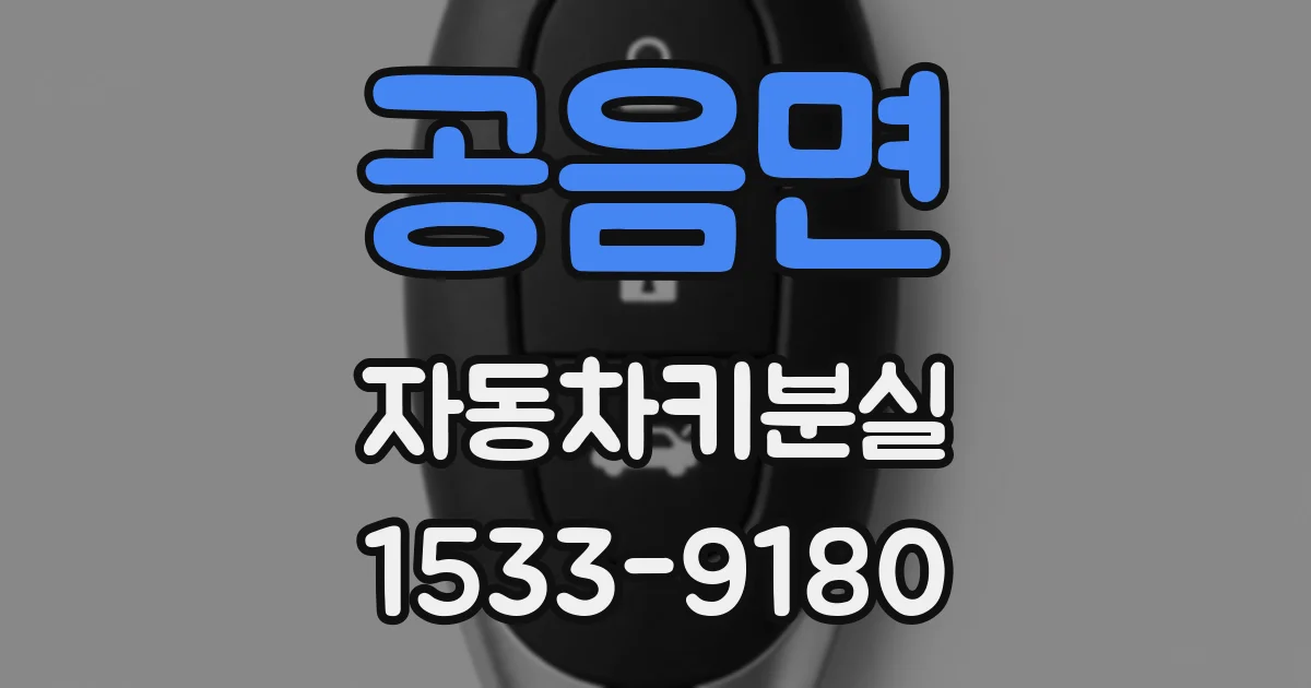 공음면 자동차키분실