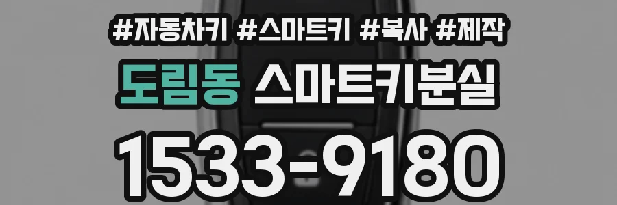 도림동 스마트키분실