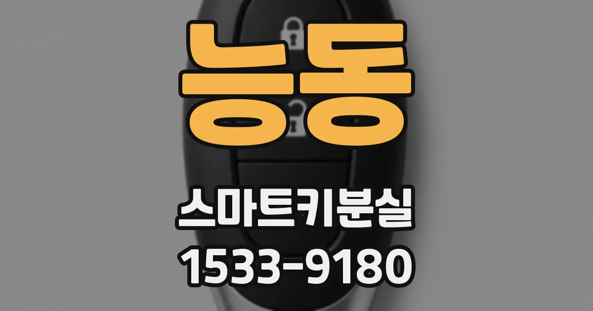 능동 스마트키분실