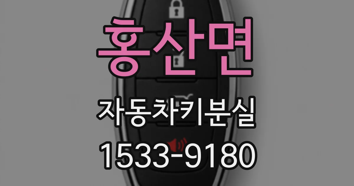 홍산면 자동차키분실