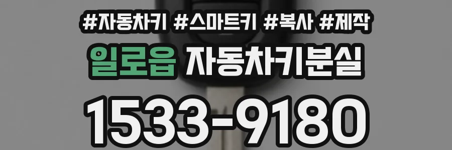 일로읍 자동차키분실