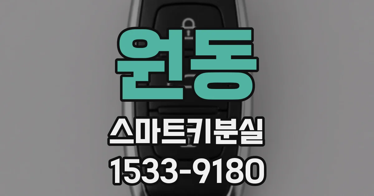 원동 스마트키분실