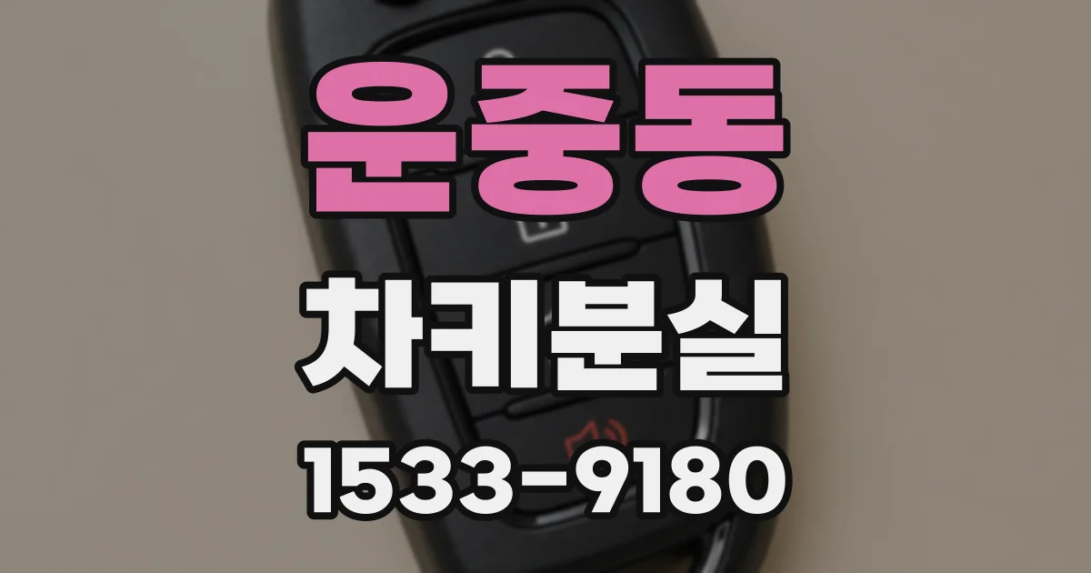 운중동 차키분실
