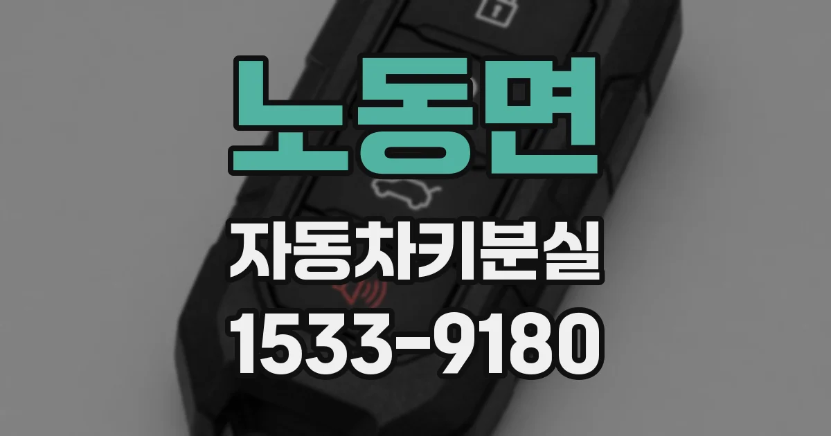 노동면 자동차키분실