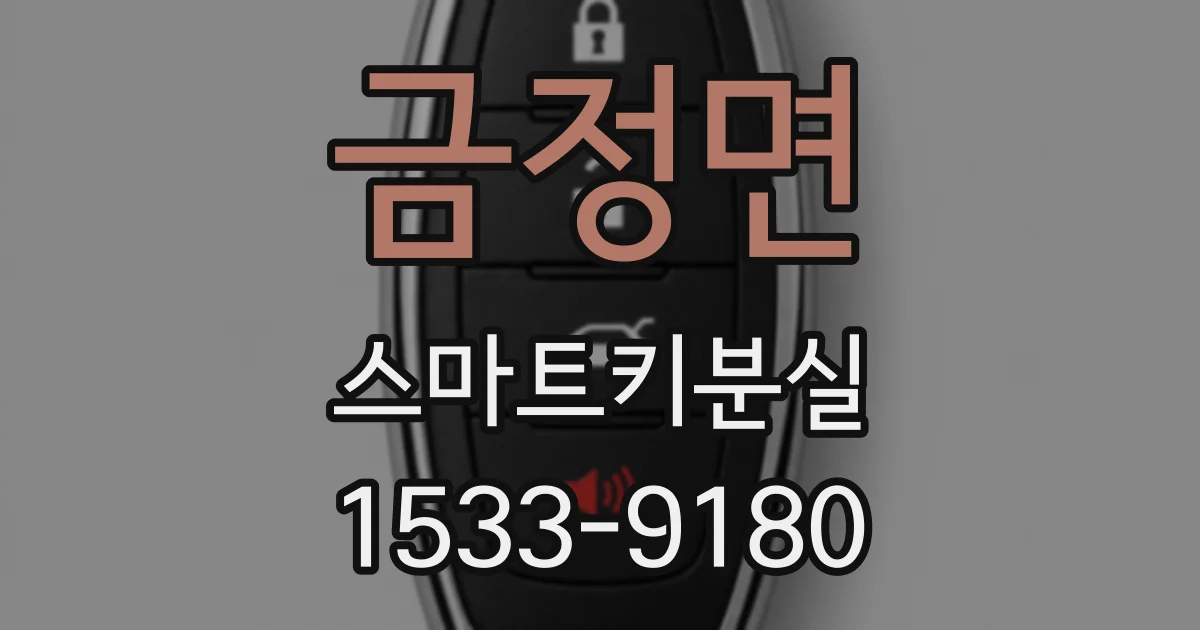 금정면 스마트키분실