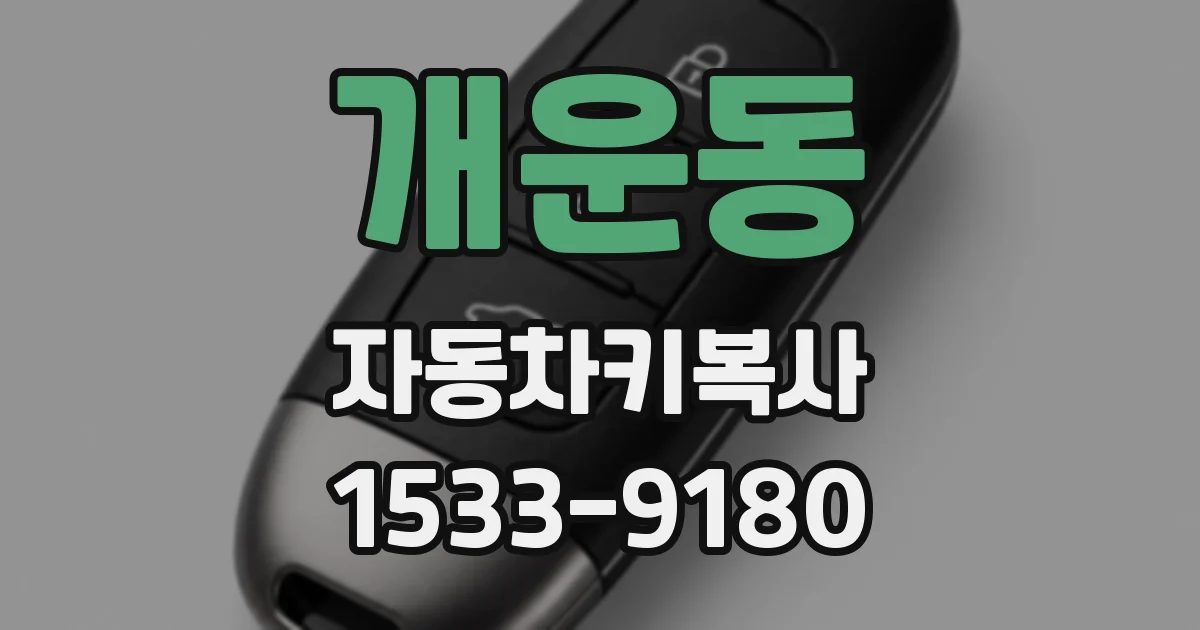 개운동 자동차키복사