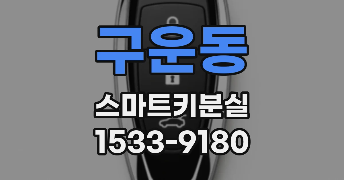 구운동 스마트키분실