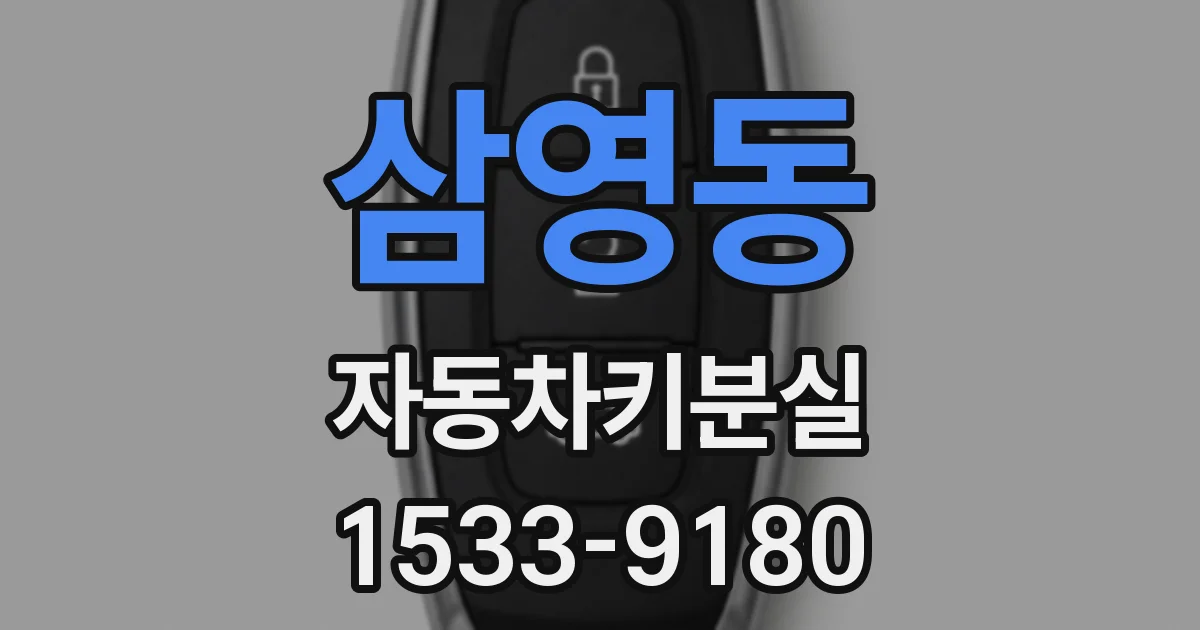 삼영동 자동차키분실