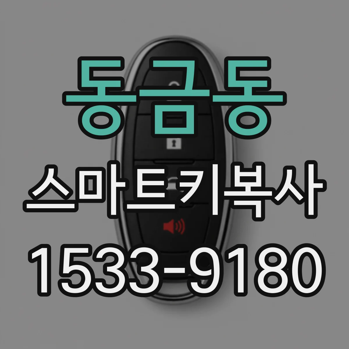 동금동 스마트키복사