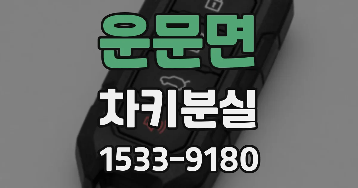 운문면 차키분실