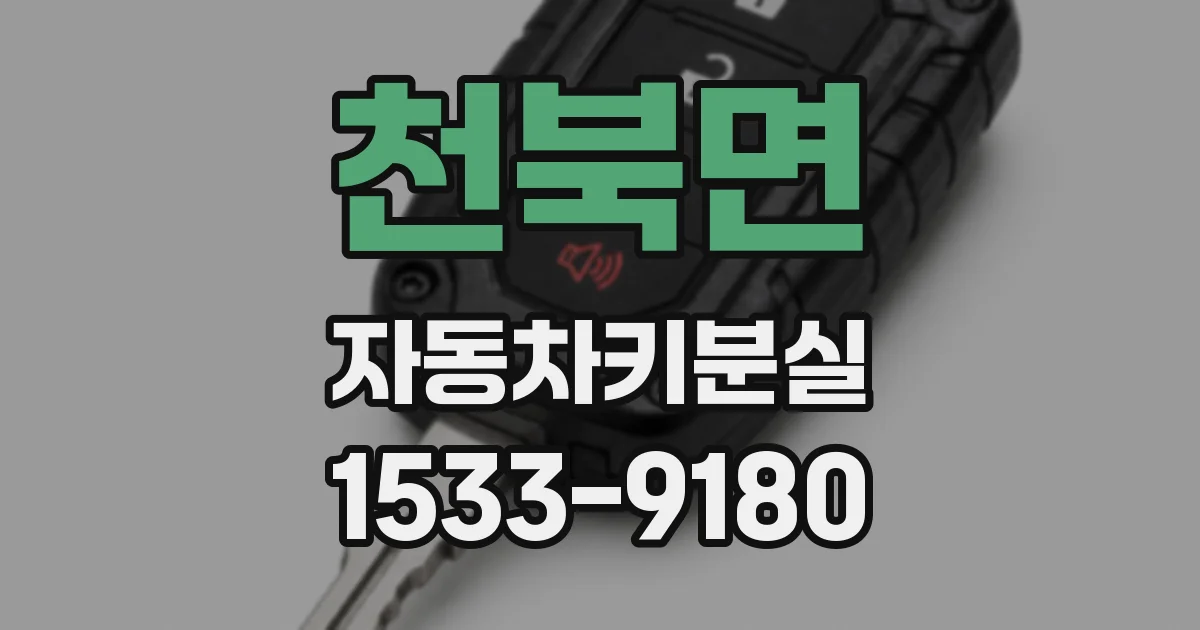 천북면 자동차키분실