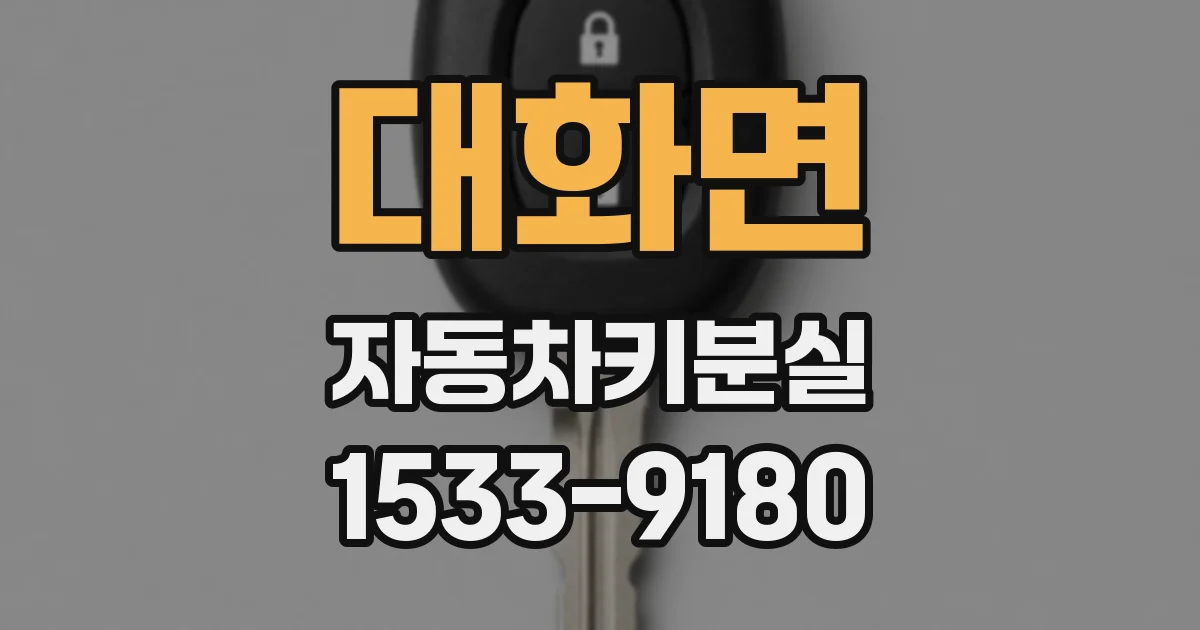 대화면 자동차키분실