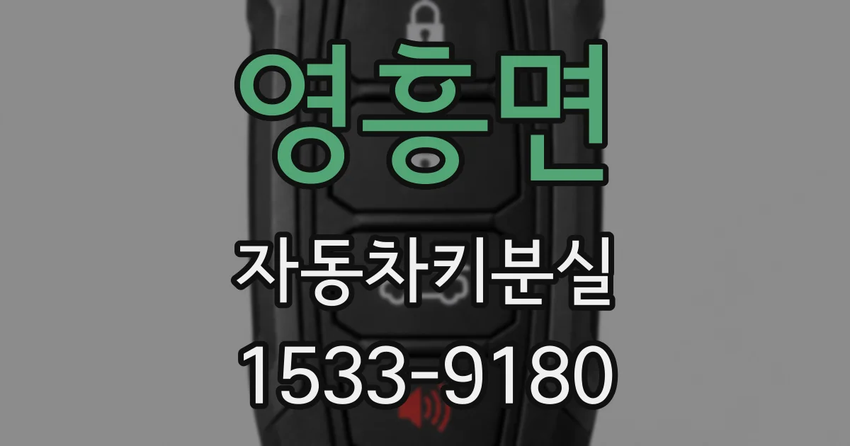 영흥면 자동차키분실