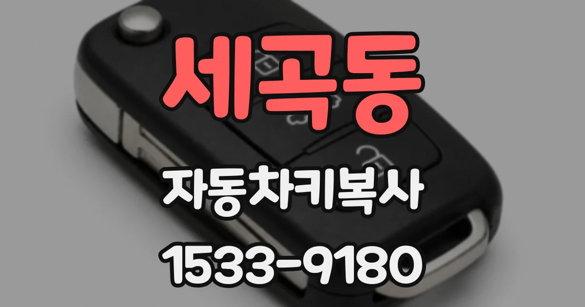 세곡동 자동차키복사