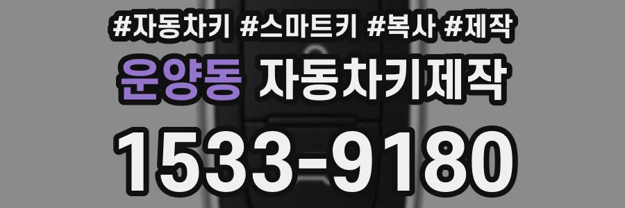 운양동 자동차키제작