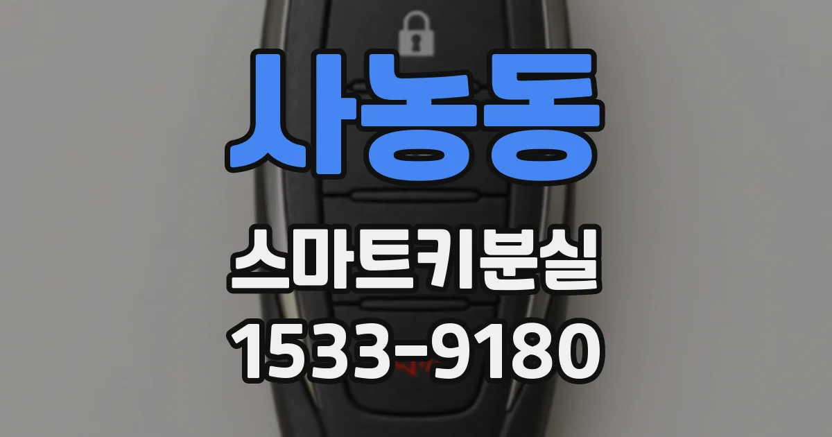 사농동 스마트키분실