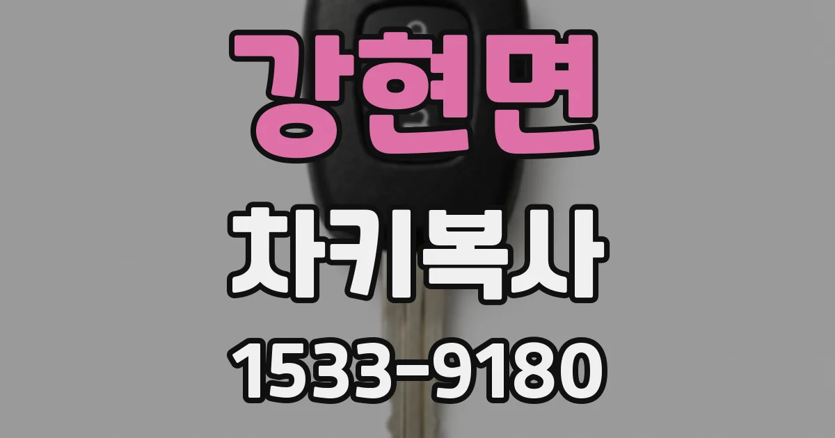 강현면 차키복사