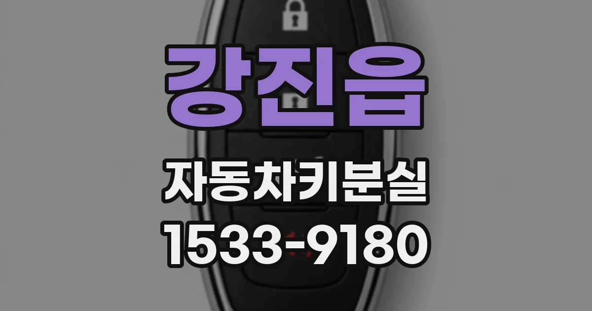 강진읍 자동차키분실