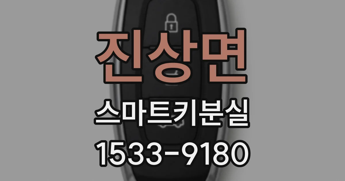 진상면 스마트키분실