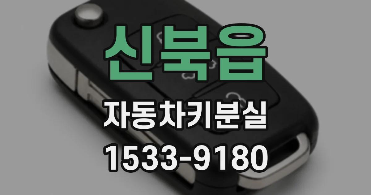 신북읍 자동차키분실