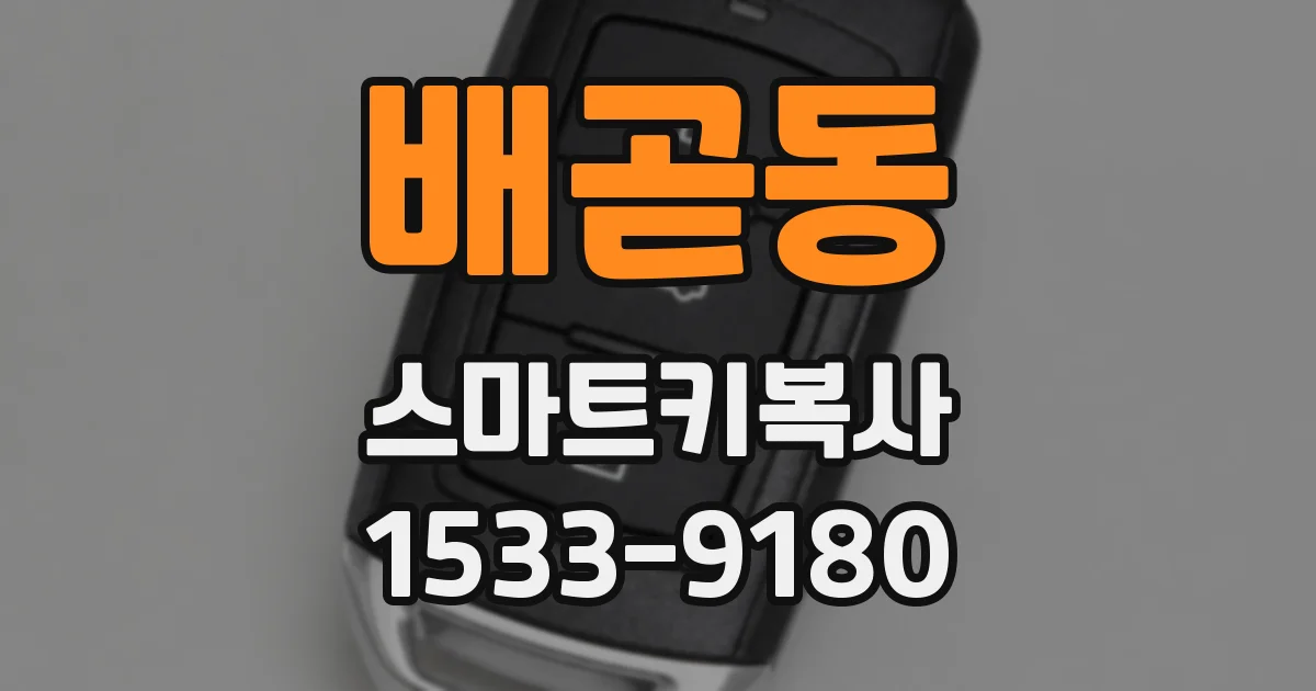배곧동 스마트키복사