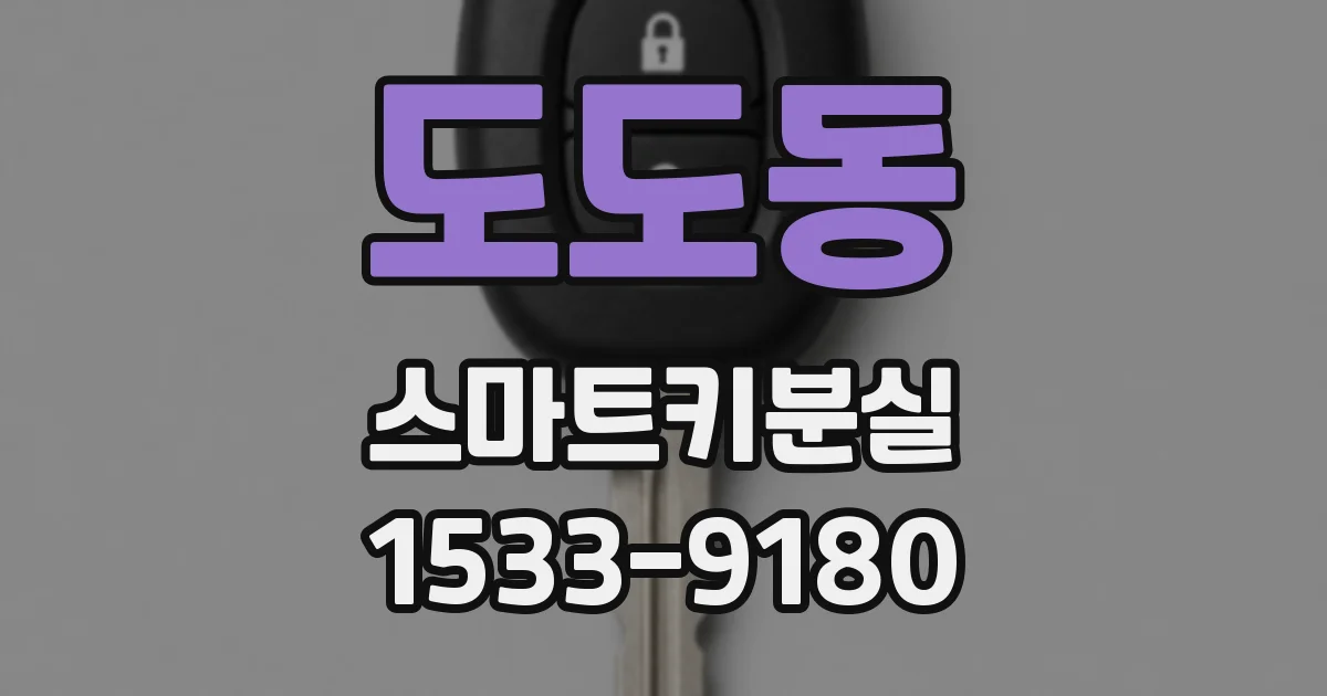 도도동 스마트키분실