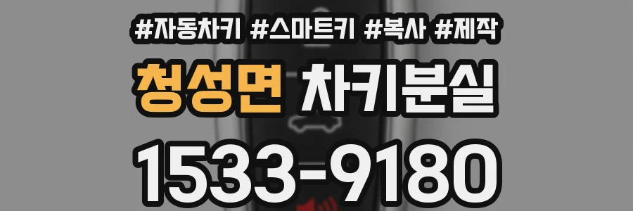 청성면 차키분실