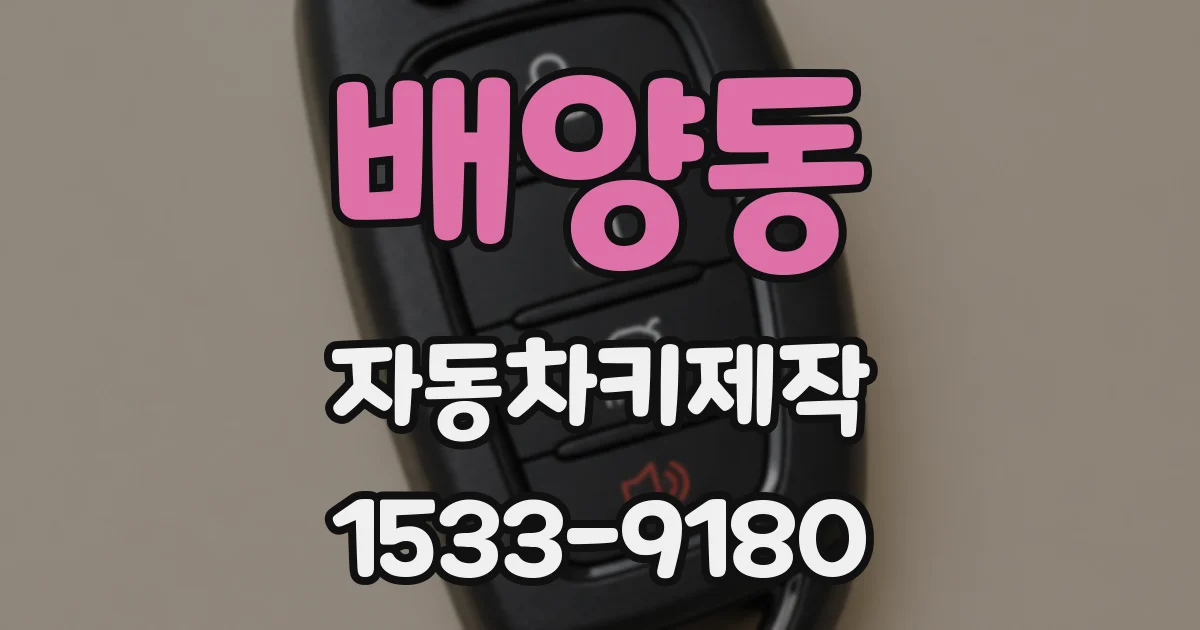 배양동 자동차키제작