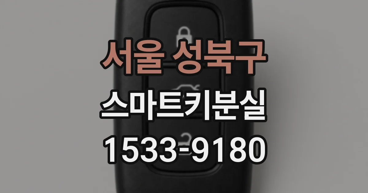 서울 성북구 스마트키분실