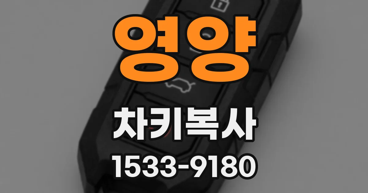 영양 차키복사
