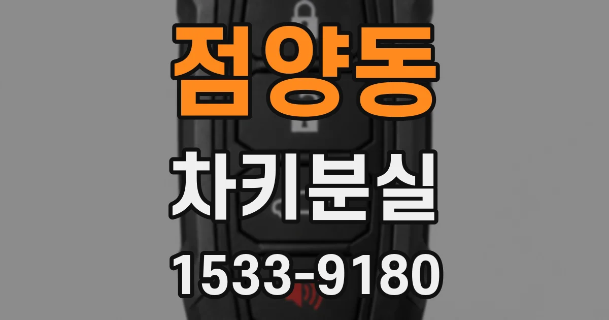 점양동 차키분실