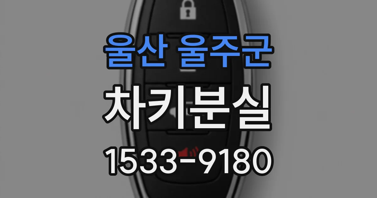 울산 울주군 차키분실