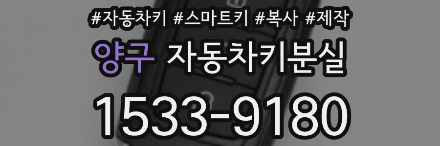 양구 자동차키분실
