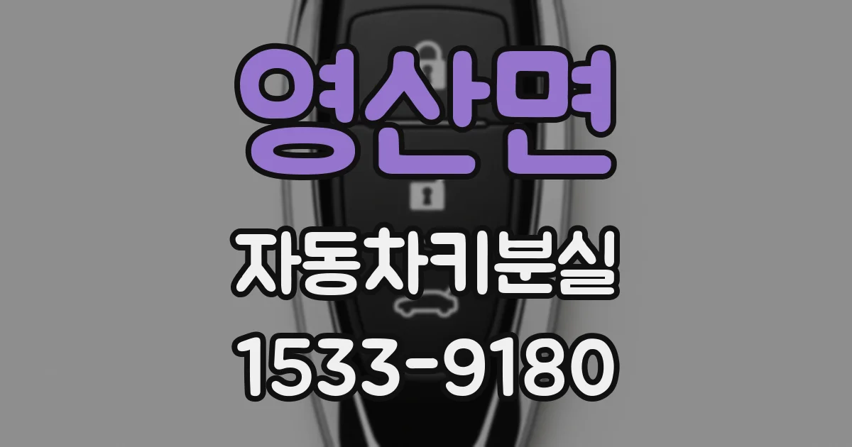 영산면 자동차키분실