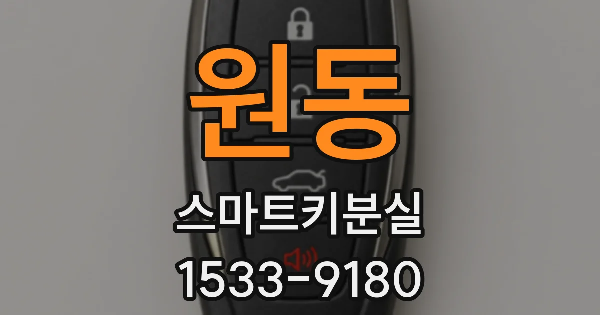 원동 스마트키분실