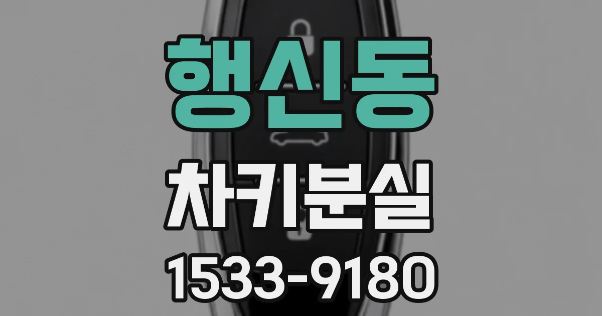 행신동 차키분실