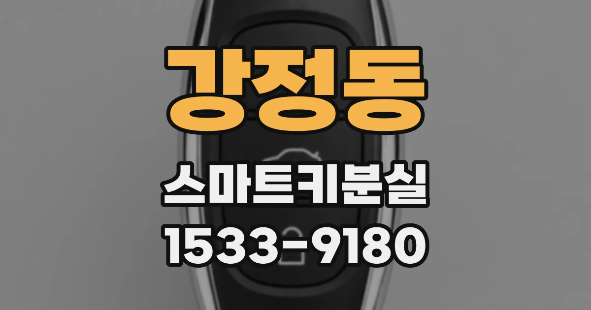강정동 스마트키분실